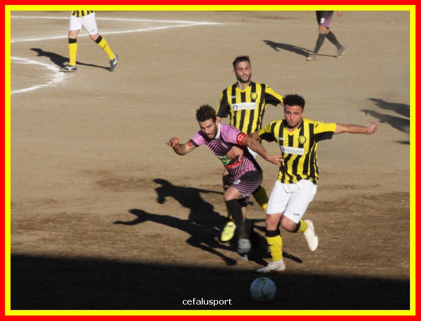 190310 Cephal_Torrenov 169_tn.jpg
